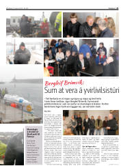 Síða 21