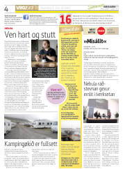 Síða 4
