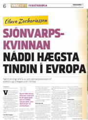 Síða 6