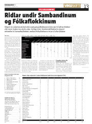 Síða 13