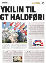 Síða 15