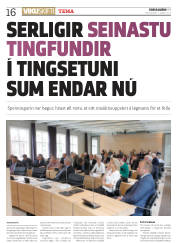 Síða 16