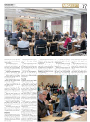 Síða 17