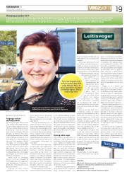Síða 19