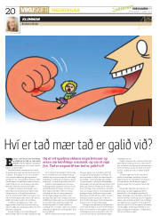 Síða 20