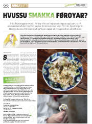 Síða 22