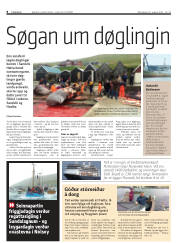 Síða 8