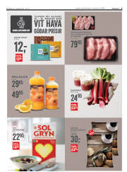 Síða 3