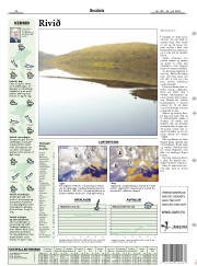 Síða 21