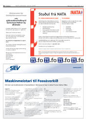 Síða 22
