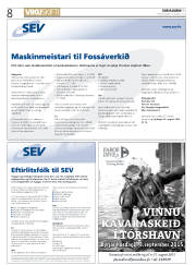 Síða 8