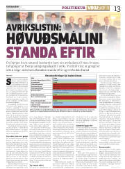 Síða 13