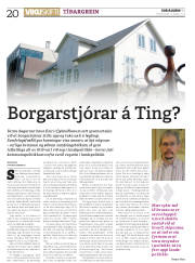 Síða 20