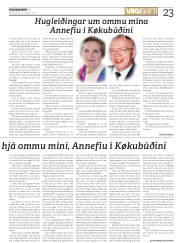 Síða 23