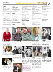 Síða 29