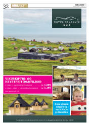 Síða 32