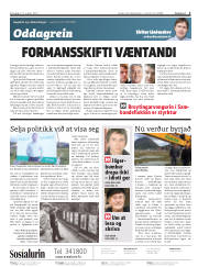 Síða 2