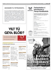 Síða 13