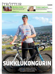 Síða 24