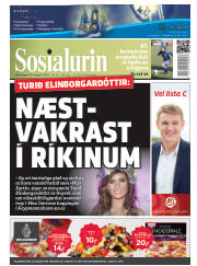 Síða 1