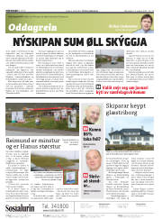 Síða 2