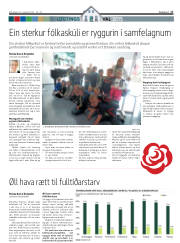 Síða 17