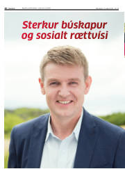 Síða 20