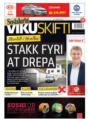 Síða 1