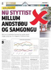 Síða 8