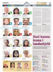 Síða 11