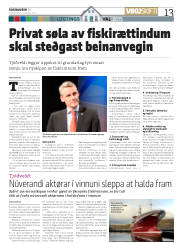 Síða 13