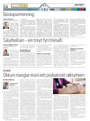 Síða 14