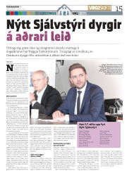 Síða 15