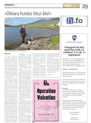 Síða 29