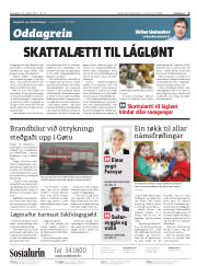 Síða 2