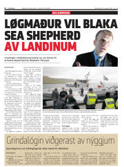 Síða 4