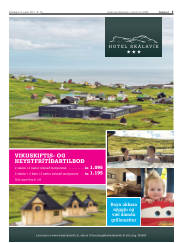 Síða 5