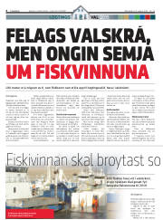 Síða 6