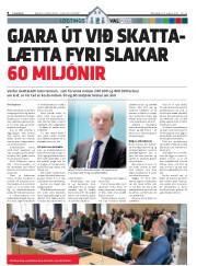 Síða 8