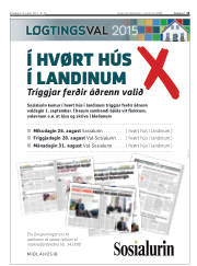 Síða 15