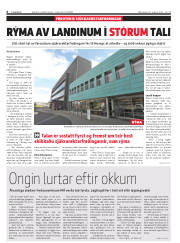 Síða 6