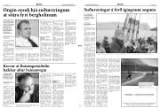 Síða 3