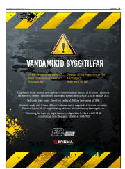 Síða 11