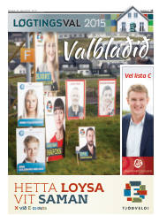 Síða 13
