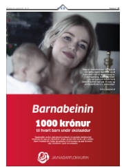 Síða 17