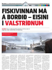 Síða 18