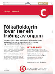 Síða 5
