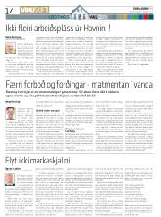 Síða 14