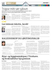 Síða 16