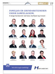 Síða 17
